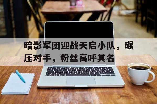 暗影军团迎战天启小队，碾压对手，粉丝高呼其名(太好了我幽冥军团最强的战士终于集结了)
